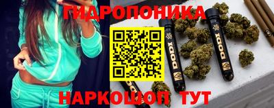 ПСИЛОЦИБИНОВЫЕ ГРИБЫ Коммунар