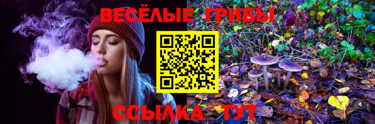 Буйнакск  Псилоцибиновые грибы мицелий  Вход с VPN 